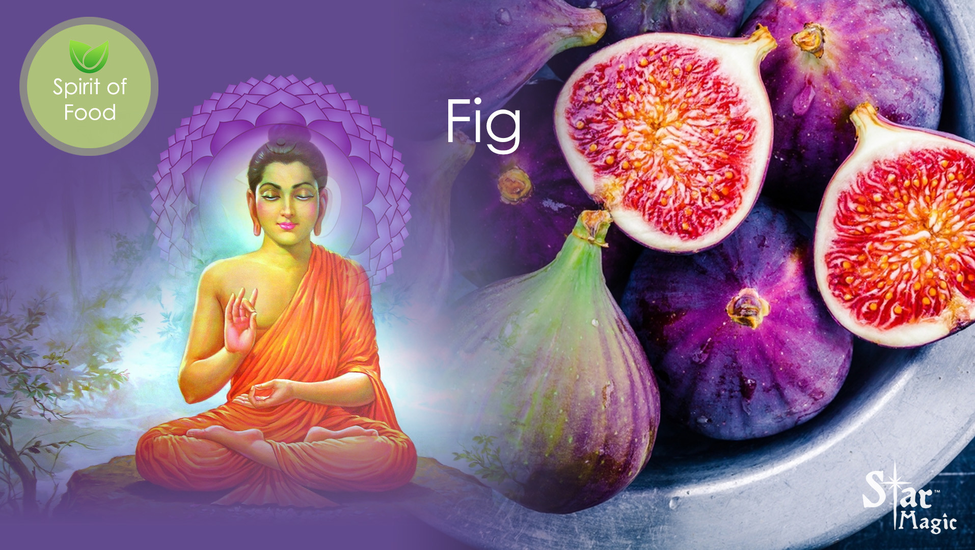 Spirit of food - Fig