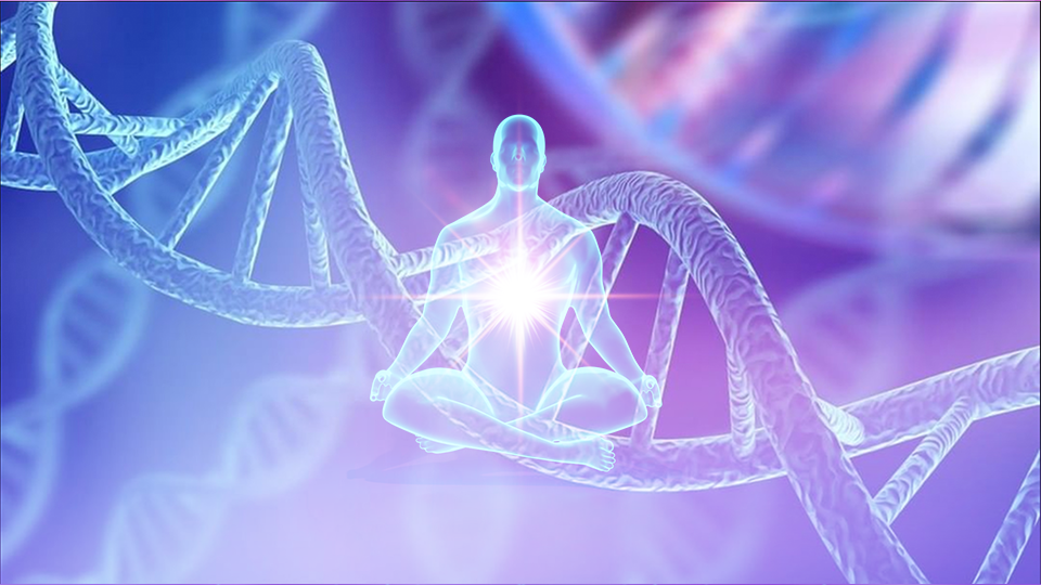 DNA activation